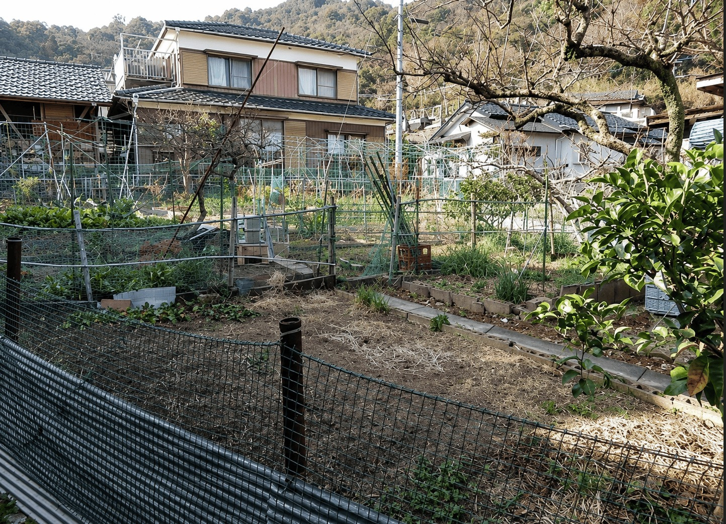 Usuki, Oita house photo 8