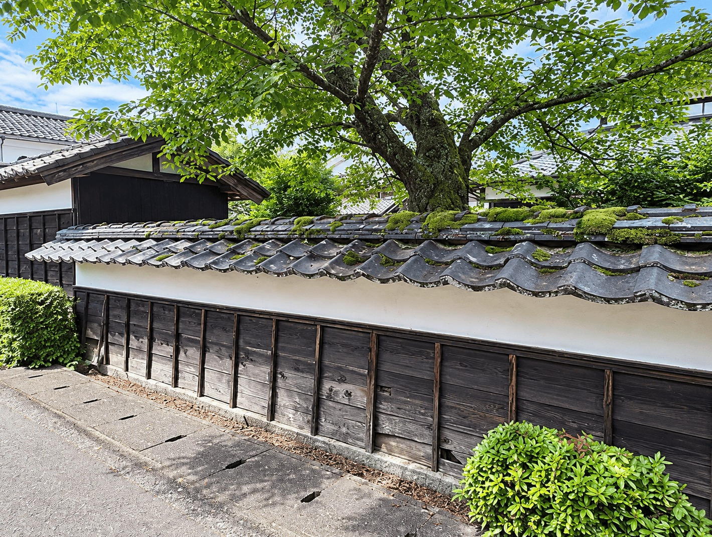 Echizen, Fukui house photo 15