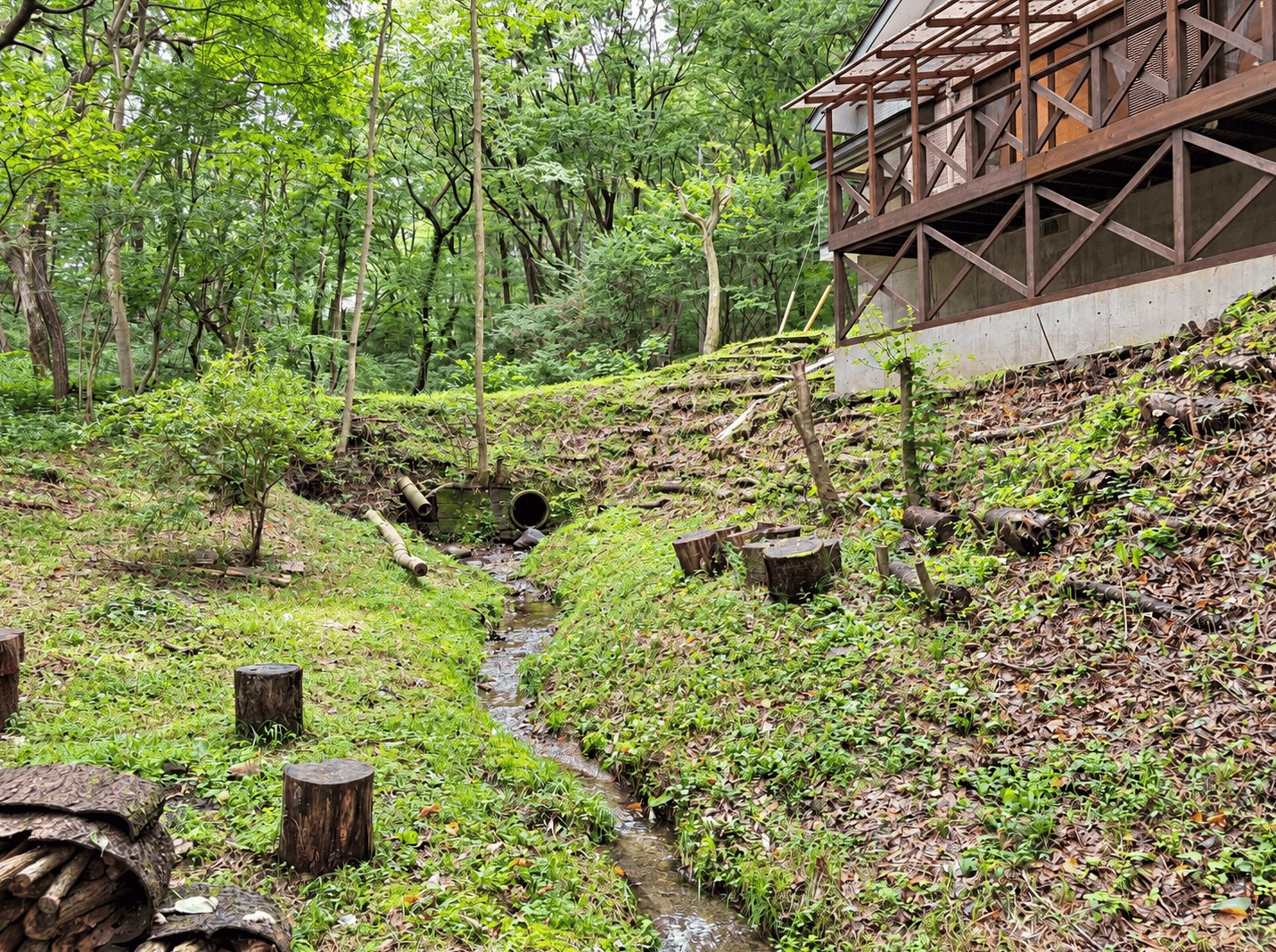 Nasu, Tochigi house photo 13