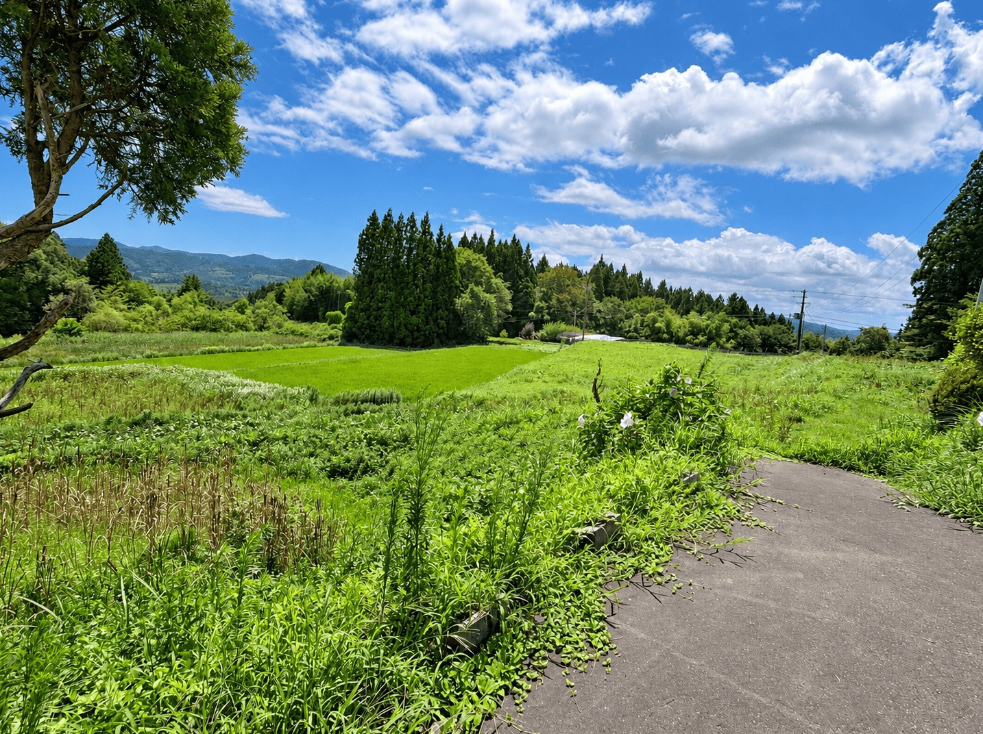 Ichinoseki, Iwate house photo 8