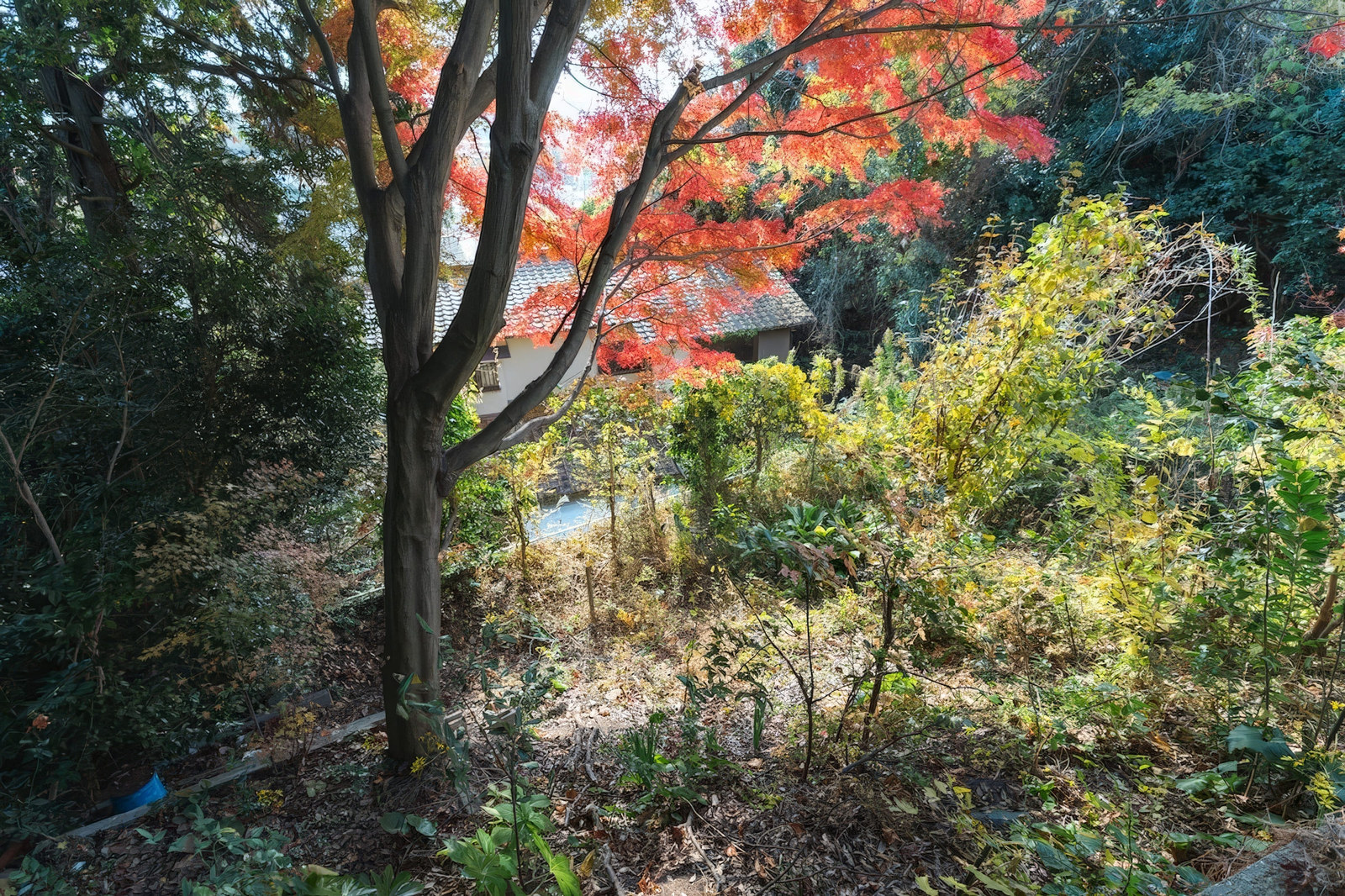 Kobe, Hyogo house photo 13