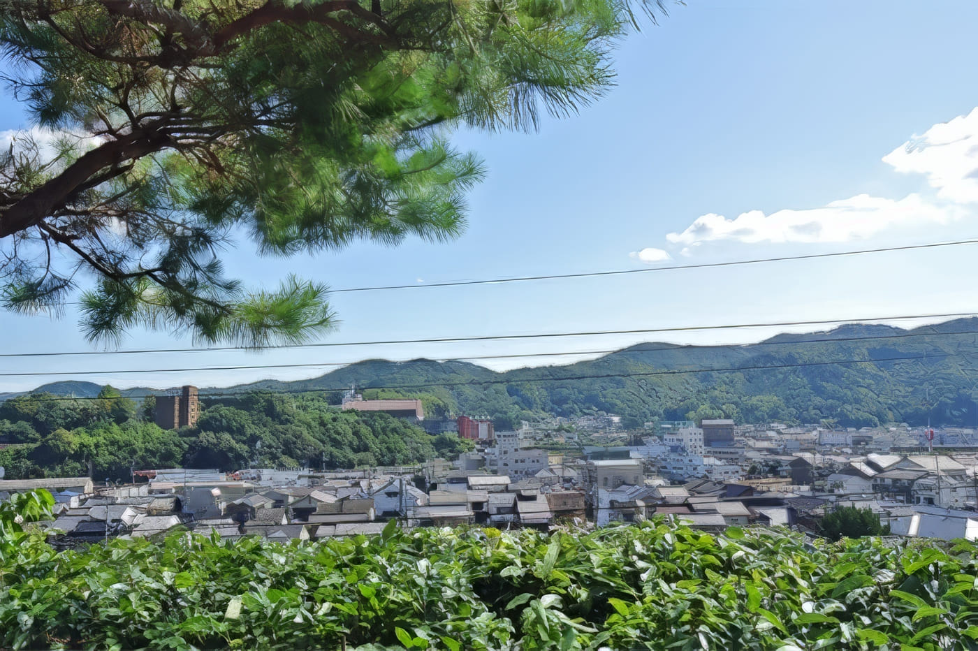 Tsuyama, Okayama house photo 10